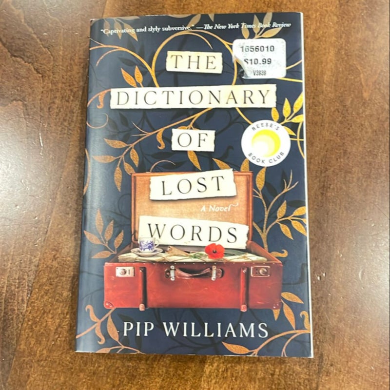 The Dictionary of Lost Words