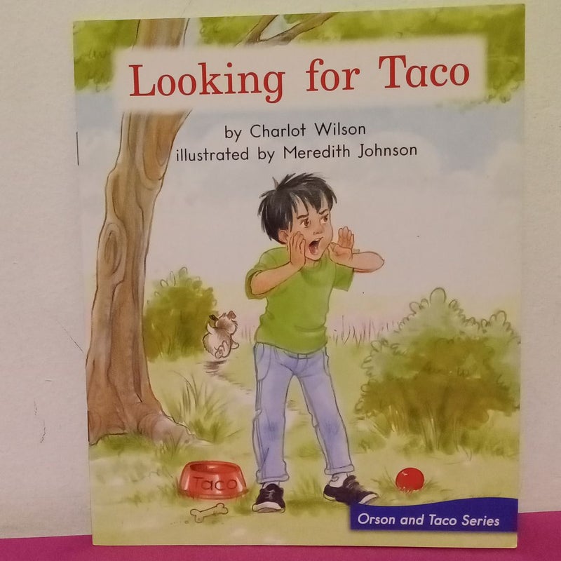 Looking for Taco