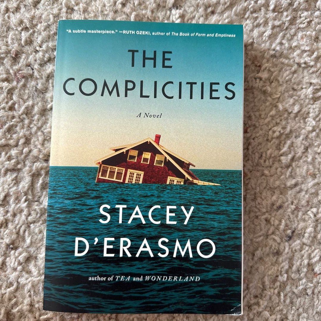 The Complicities by Stacey D'Erasmo, Paperback | Pangobooks
