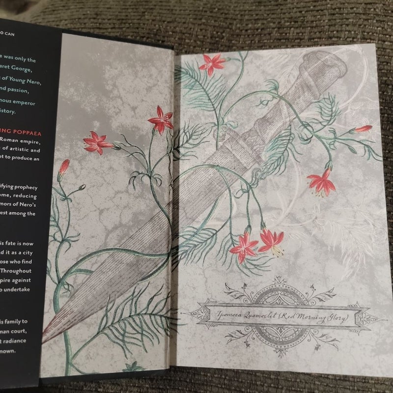 The Splendor Before the Dark (First Edition)