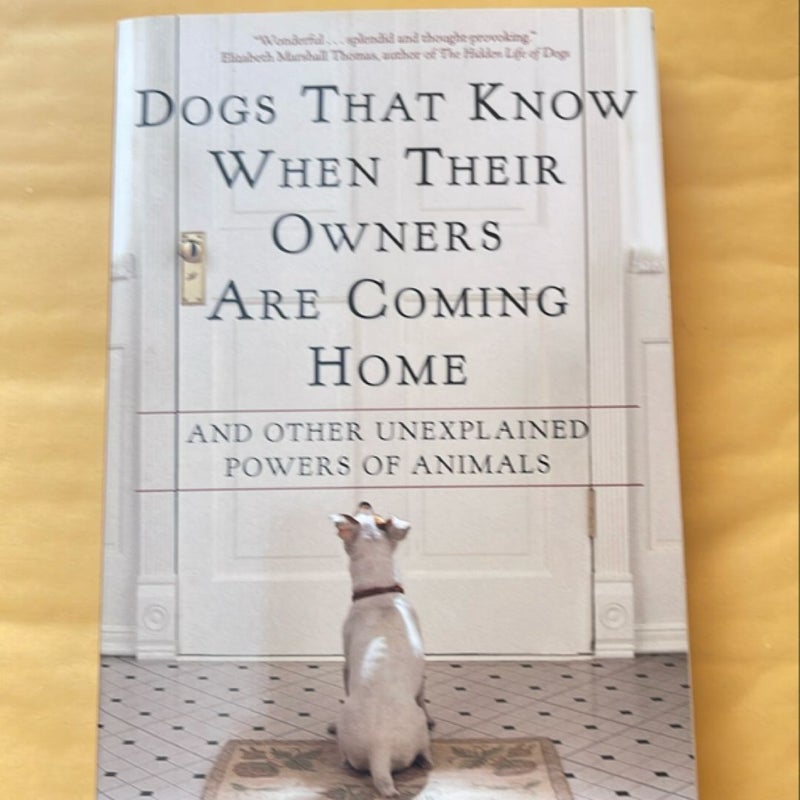 Dogs That Know When Their Owners Are Coming Home