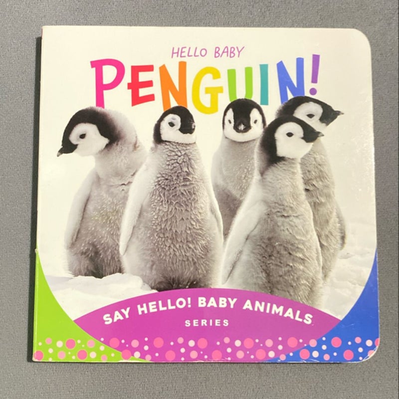 Hello Baby Penguin!
