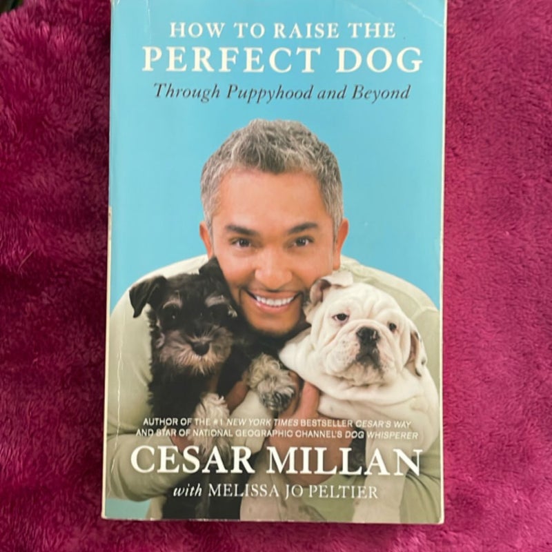 How to Raise the Perfect Dog