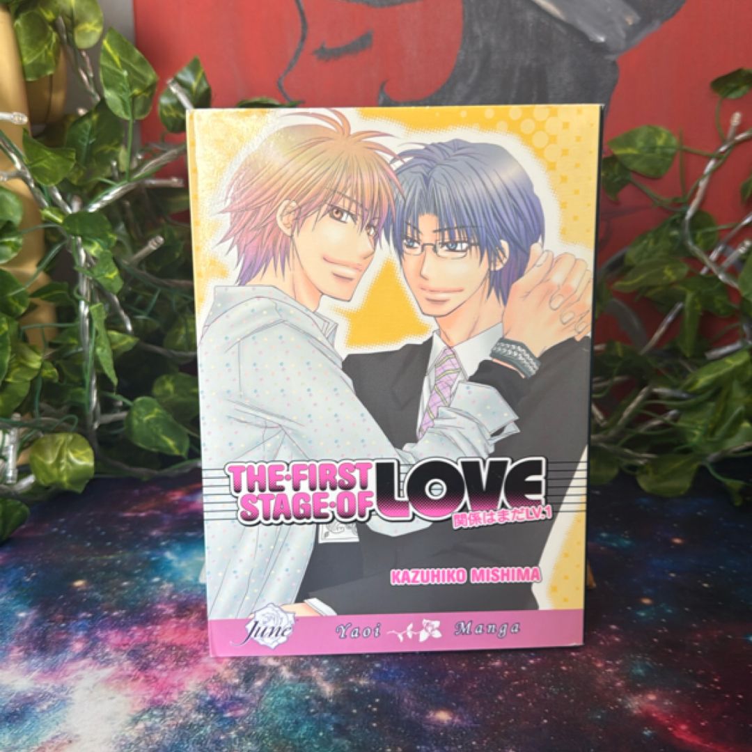 The First Stage of Love (Yaoi)