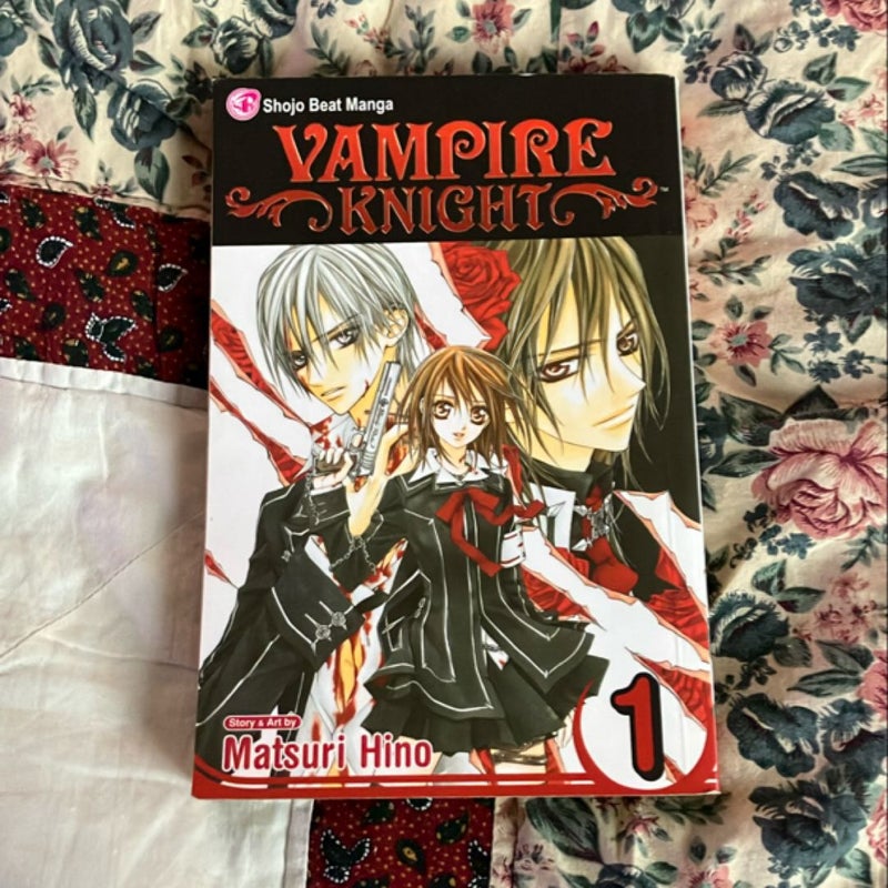 Vampire Knight, Vol. 1