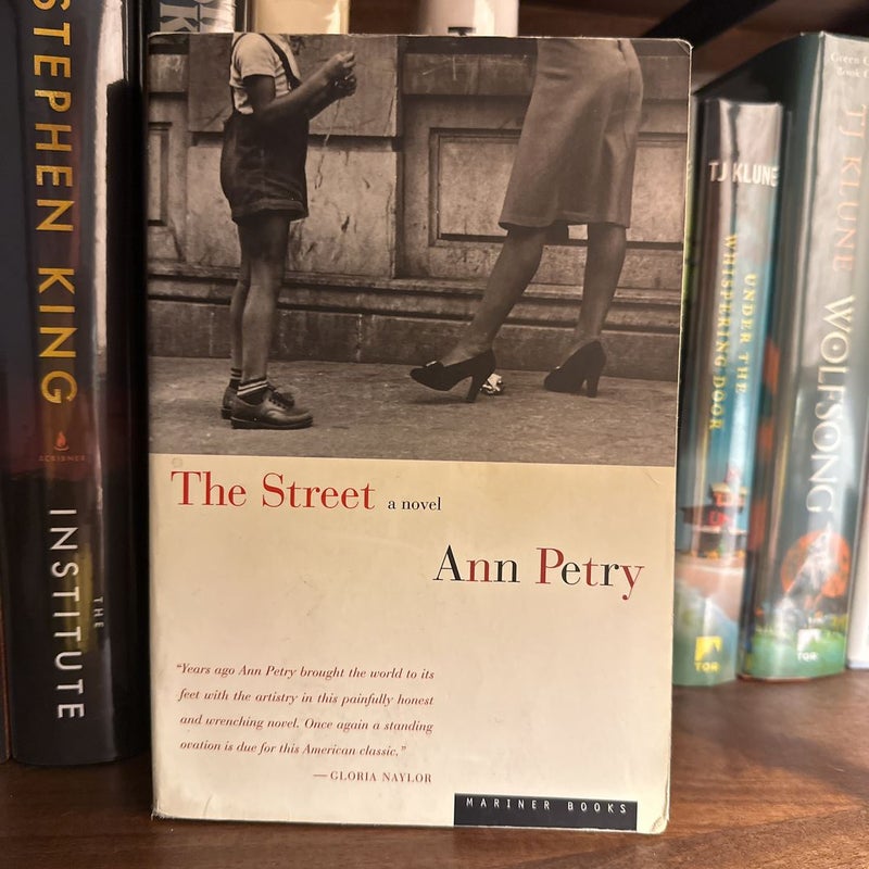 Fiction 📚 | The Street by Ann Perry | Paperback