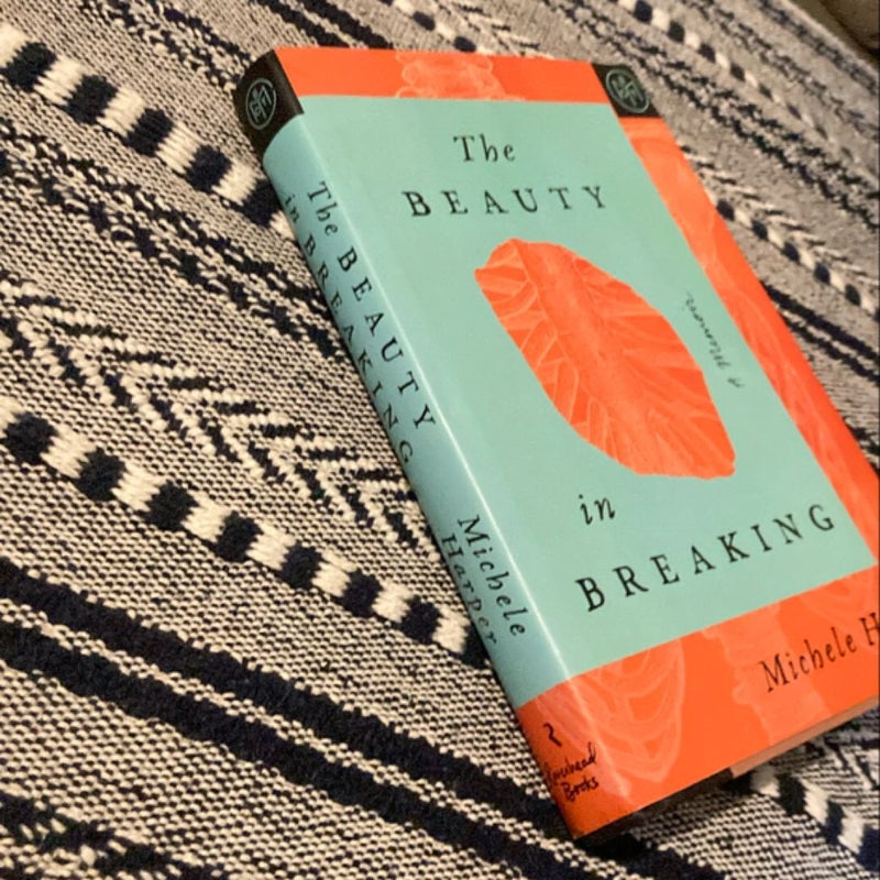 The Beauty in Breaking