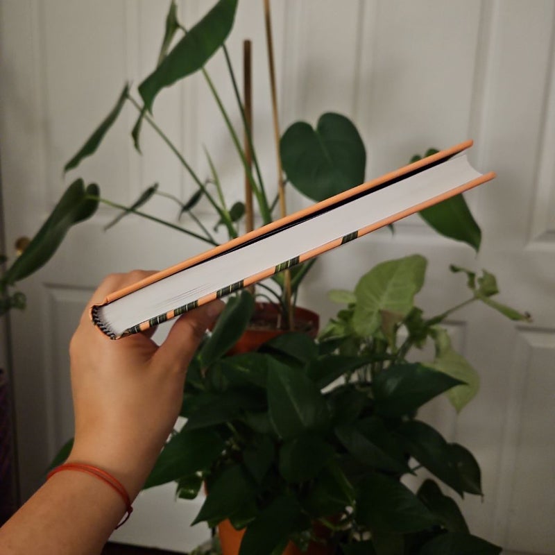 The Inspired Houseplant