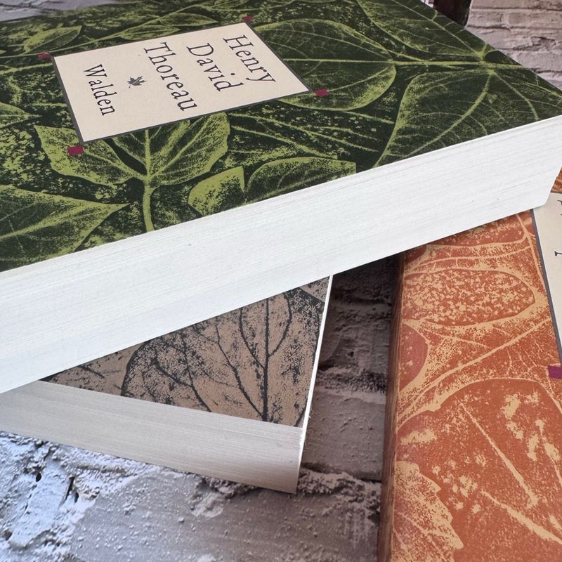 Henry David Thoreau Box Set