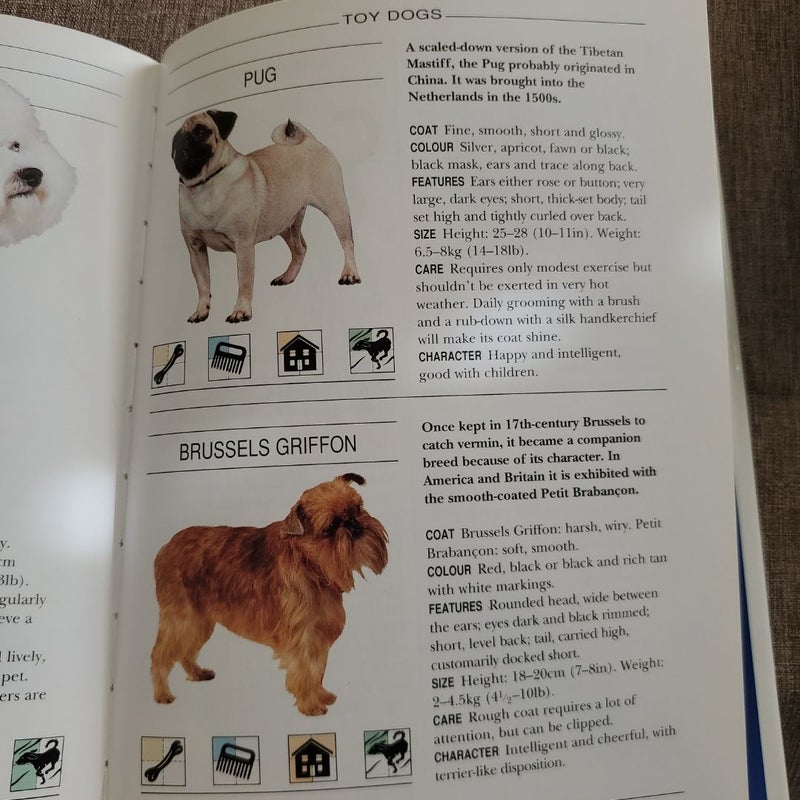 A Dog's Life Bundle