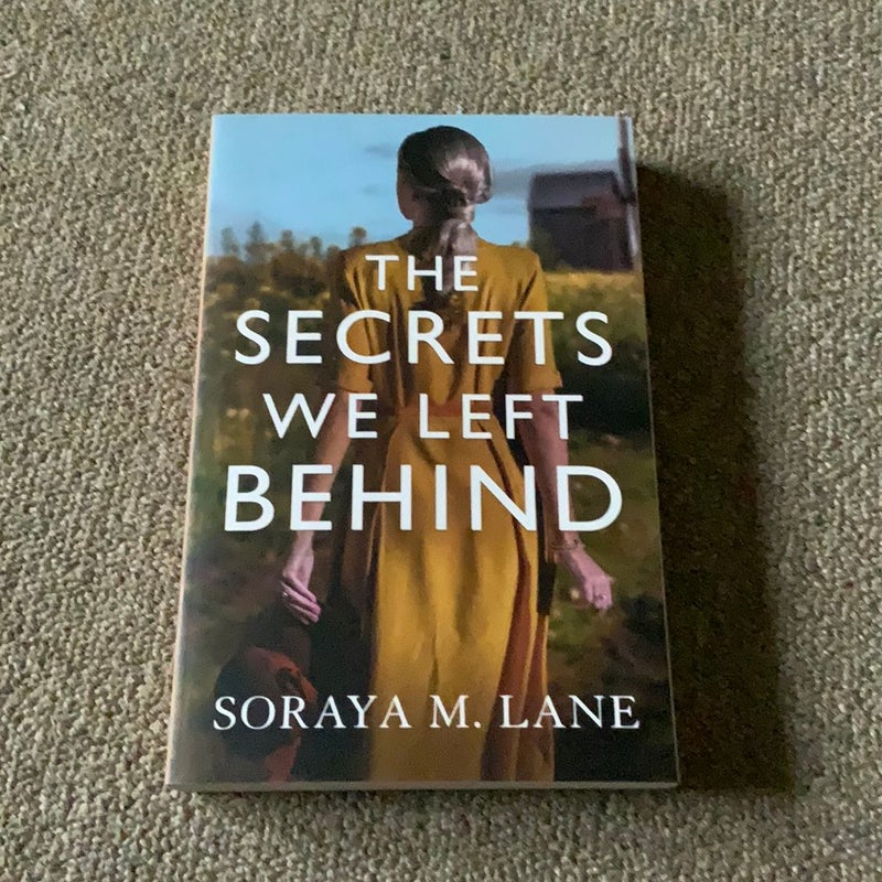 The Secrets We Left Behind: Book Themes Uncovered