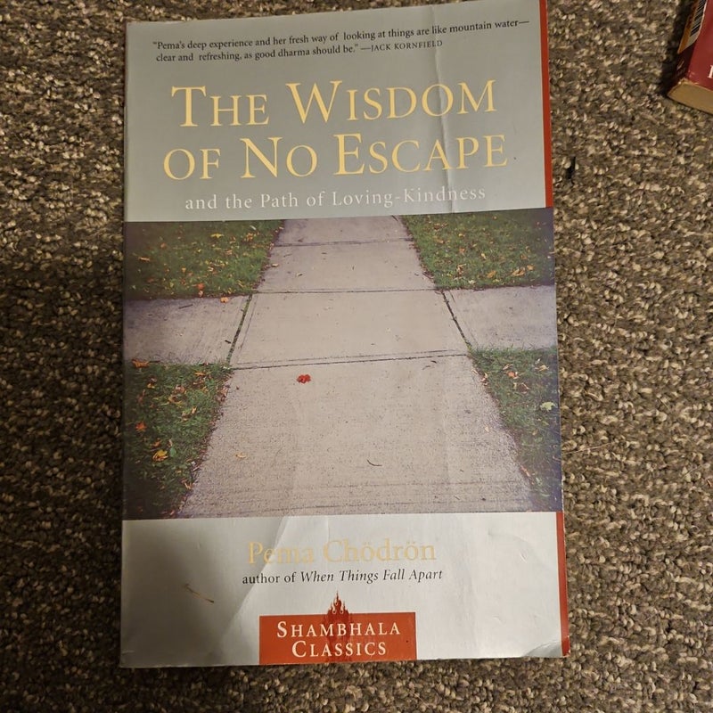 The Wisdom of No Escape