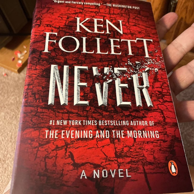 Never by Ken Follett: 9780593300039
