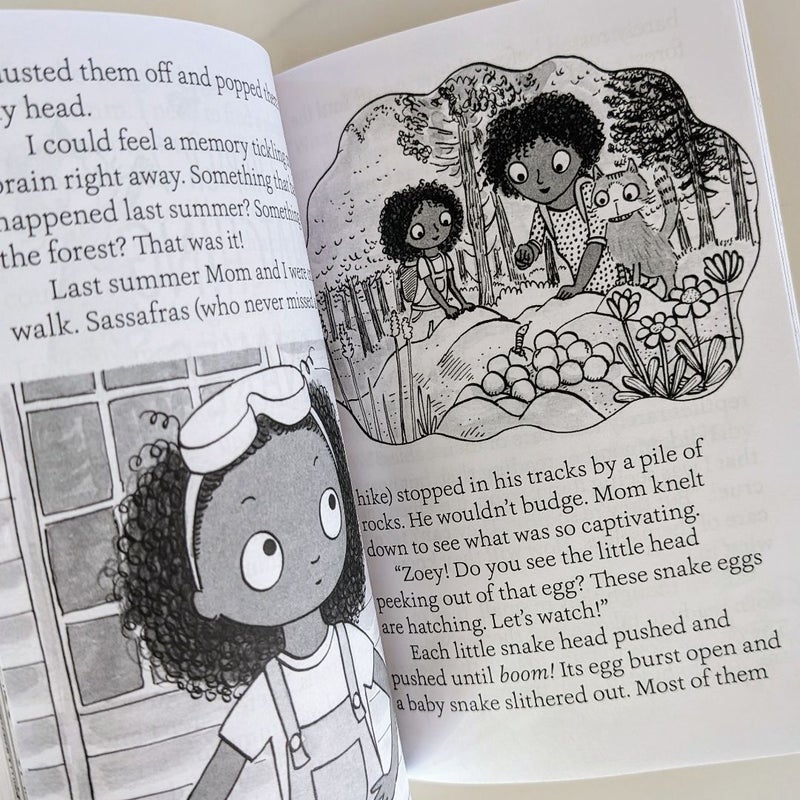 Zoey and Sassafras: Dragons and Marshmallows Book 1
