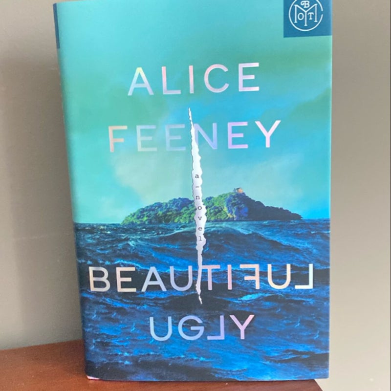 Beautiful Ugly (new)