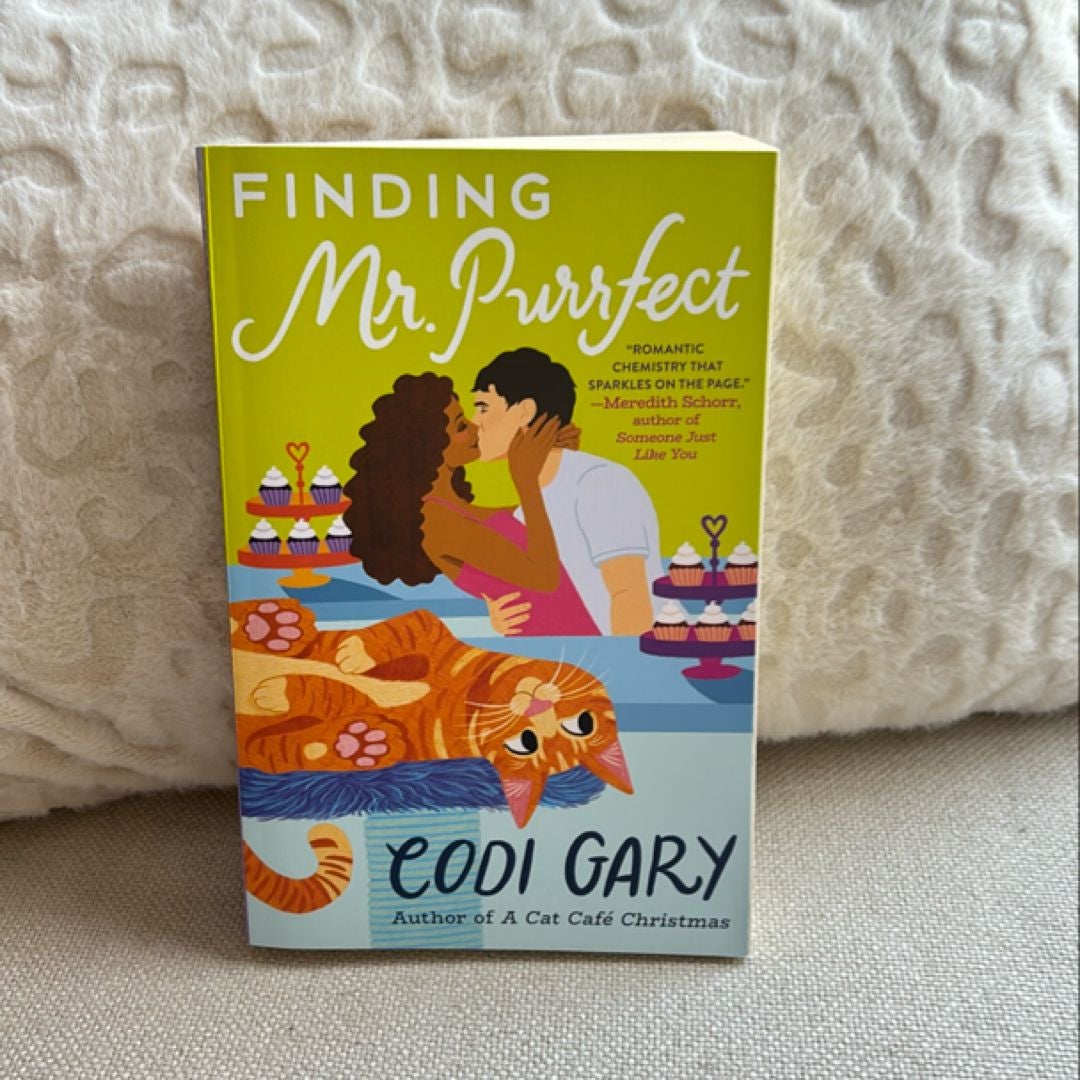 Finding Mr. Purrfect