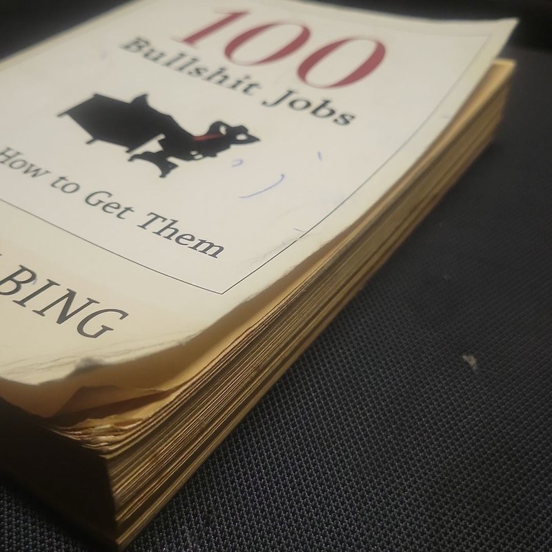 100 Bullshit Jobs... and How to Get Them