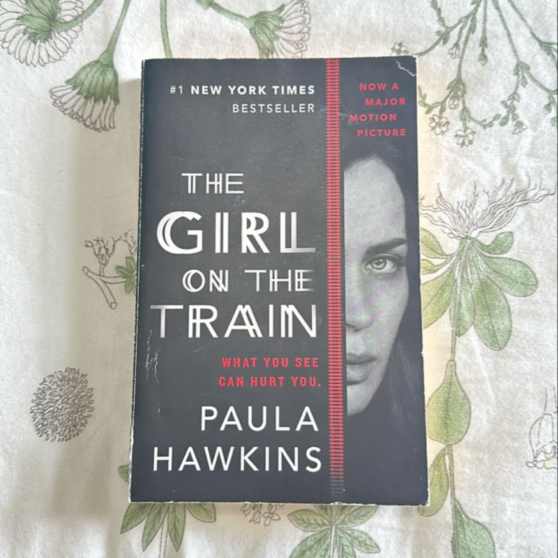 The Girl on the Train 