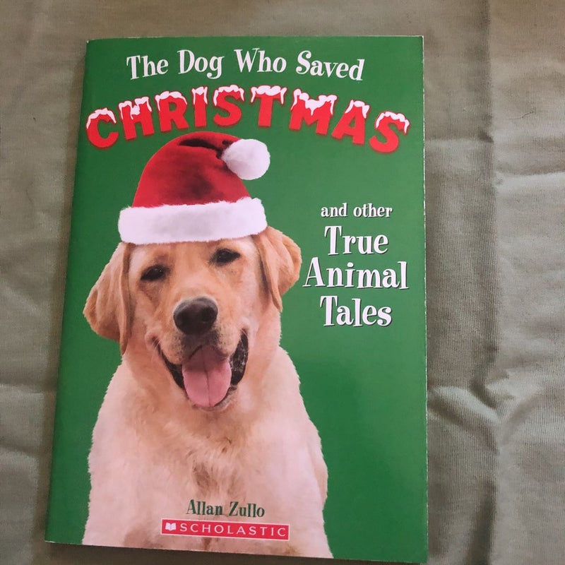 Bad Pets Book Set