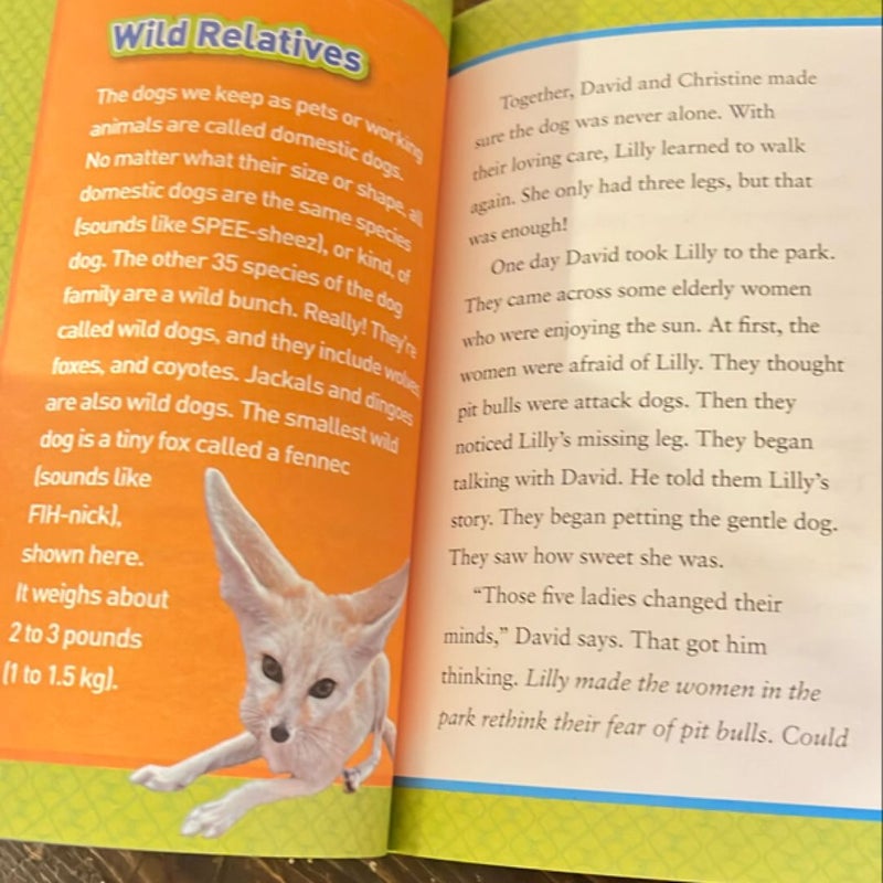 National Geographic kids chapter book of courageous canines and other animal heroes 