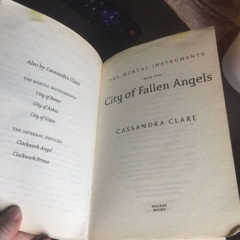 City of Fallen Angels