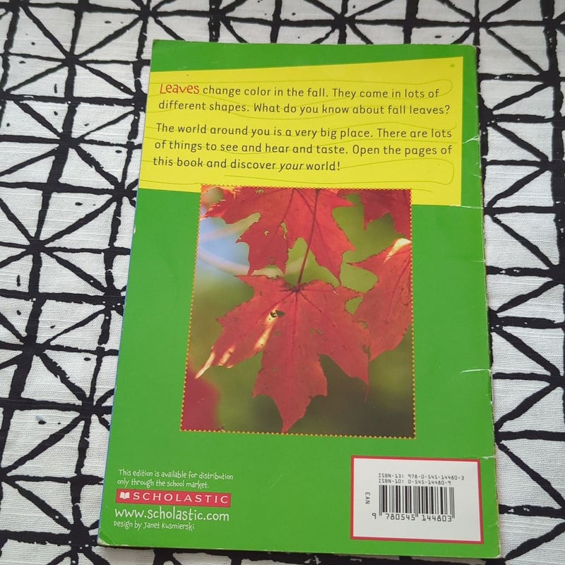Discovering My World: Fall Series- Set of 5 Books Bundle