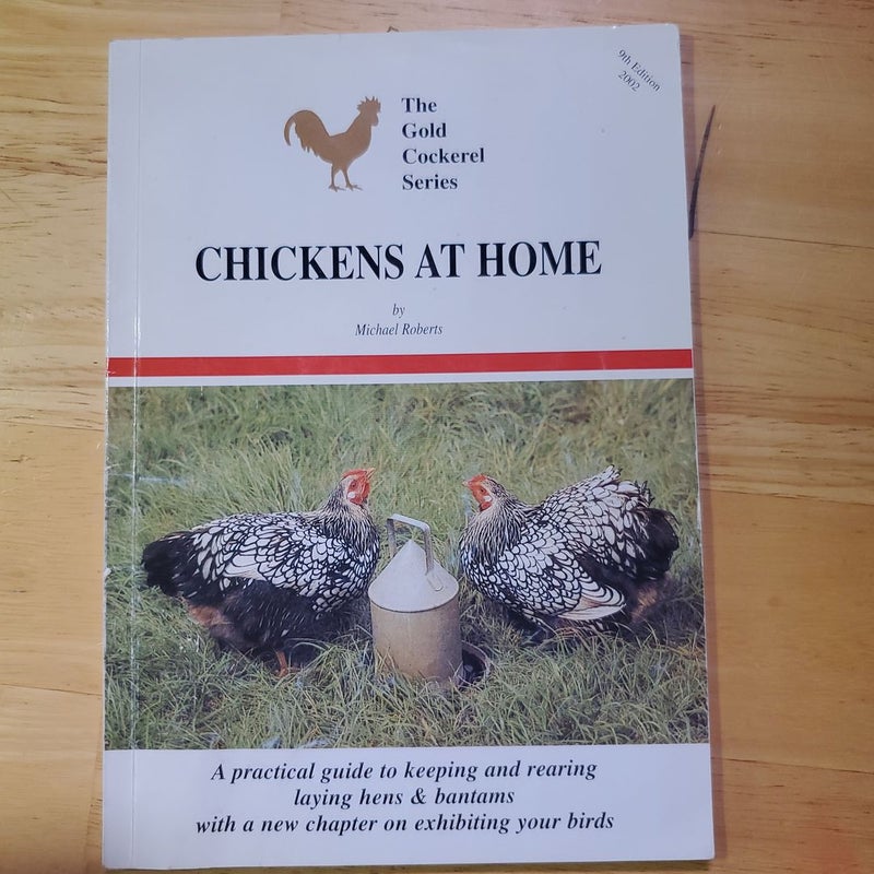 Chickens at Home