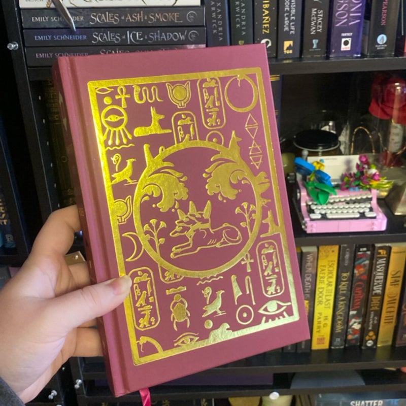 Where the Library Hides OWLCRATE EDITION