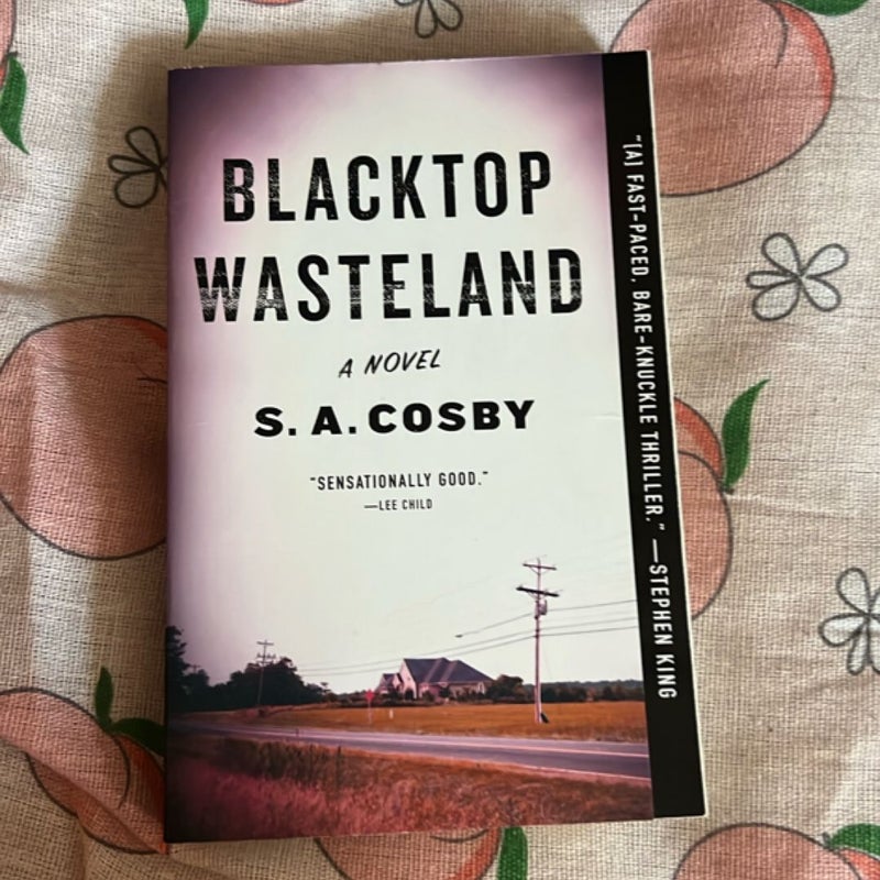 Blacktop Wasteland