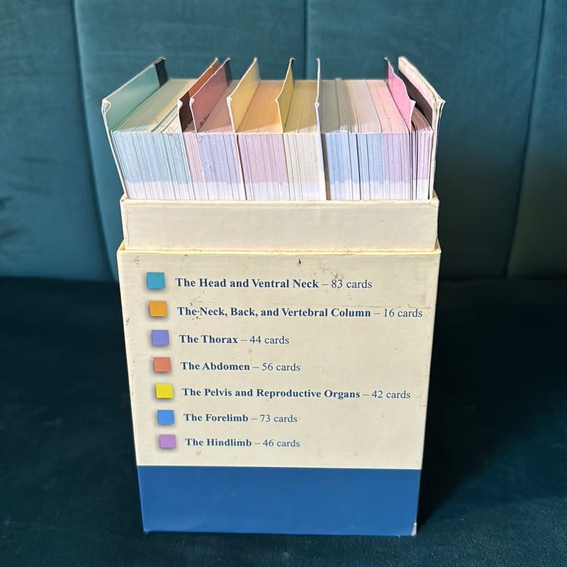 Saunders Veterinary Anatomy Flash Cards