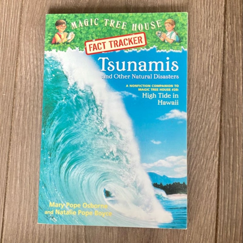 Tsunamis and Other Natural Disasters