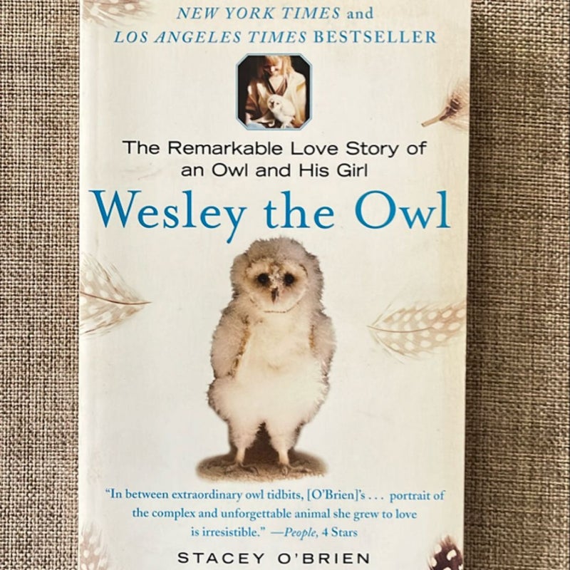 Wesley the Owl