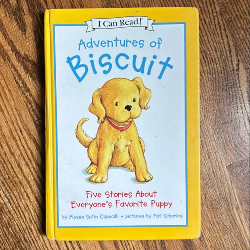 Adventures of Biscuit