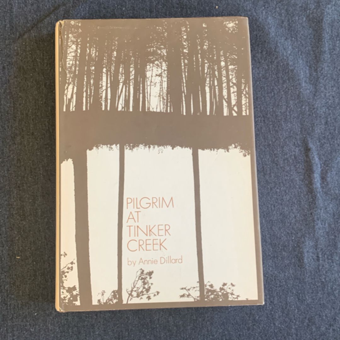 Pilgrim At Tinker Creek