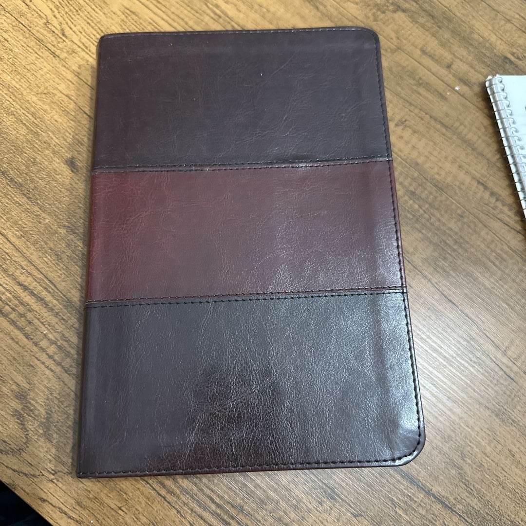NIV Rainbow Study Bible, Saddle Brown LeatherTouch Indexed