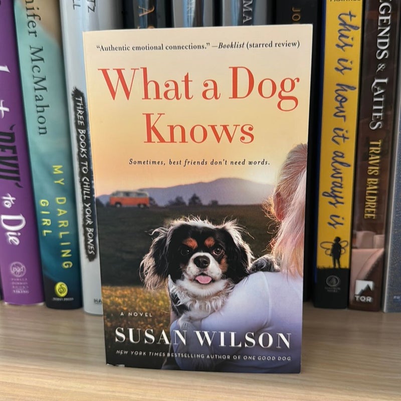 What a Dog Knows