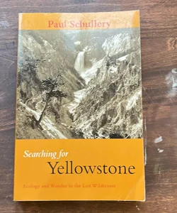 Searching For Yellowstone