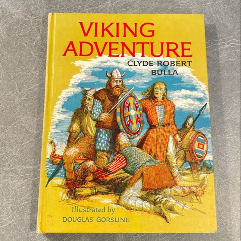 Viking Adventure