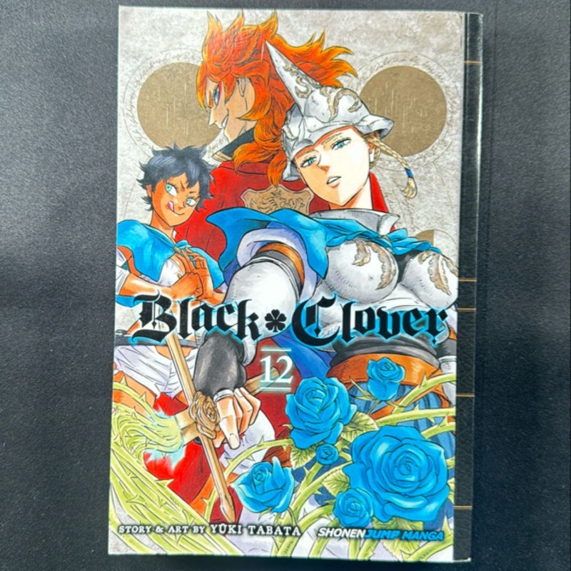 Black Clover, Vol. 12