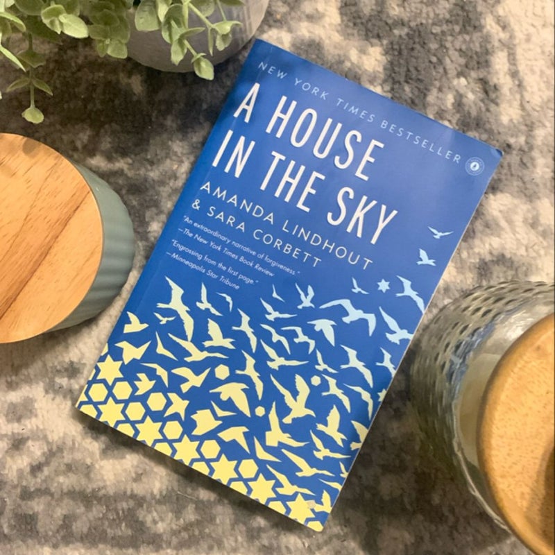 A House in the Sky