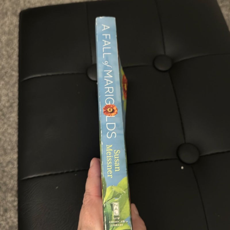 A Fall of Marigolds
