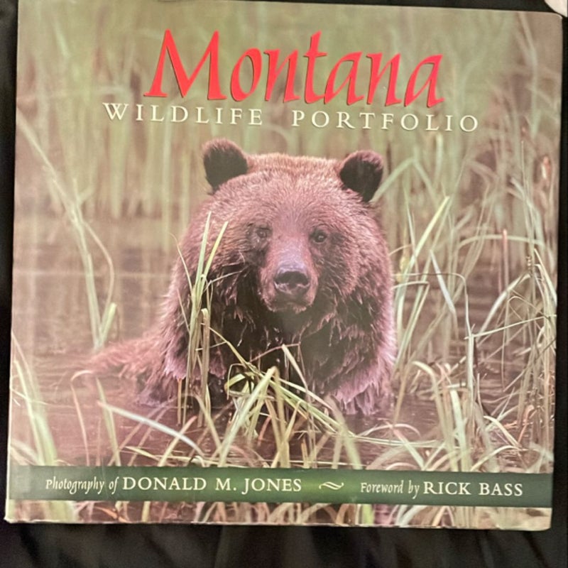 Montana Wildlife Portfolio