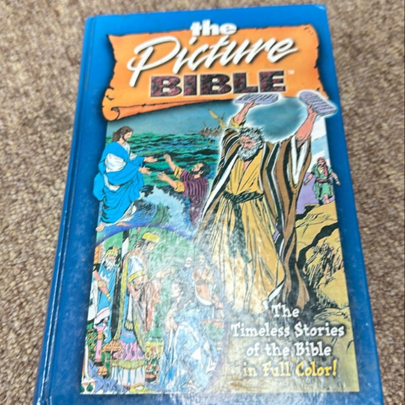 The Picture Bible