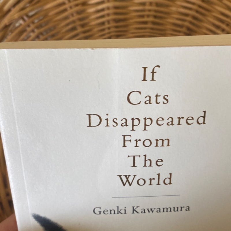 If Cats Disappeared from the World