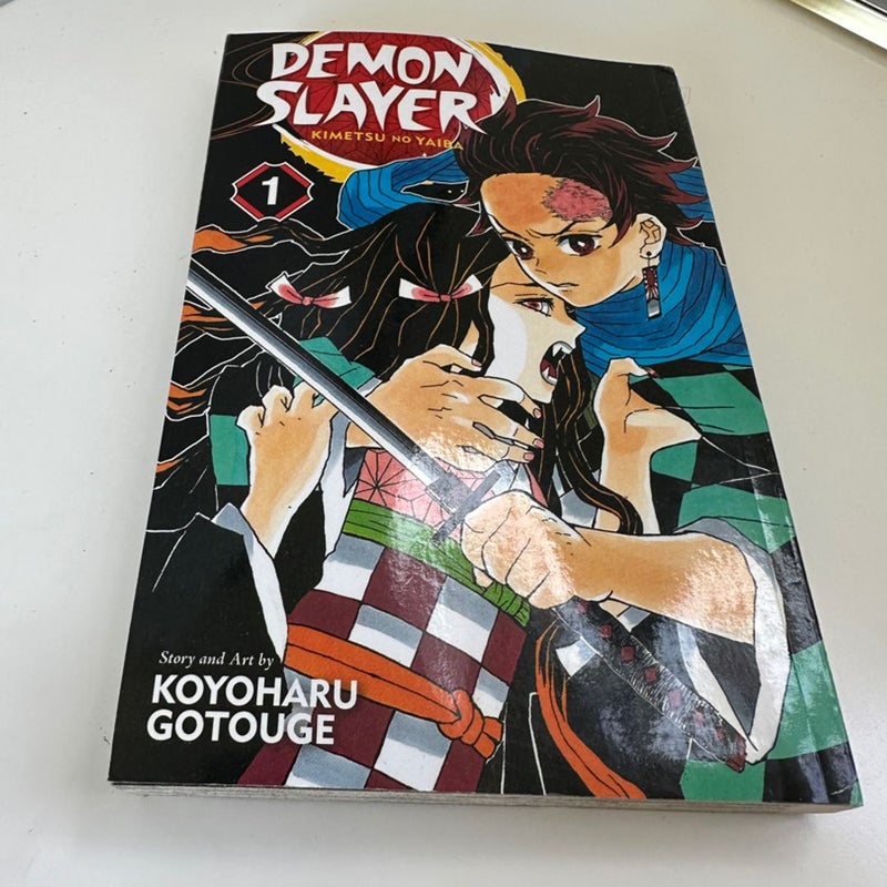 Demon Slayer: Kimetsu No Yaiba, Vol. 1