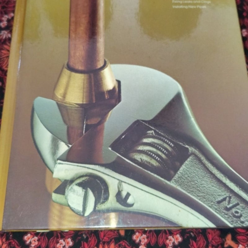 Home Repair & Improvement Book Lot - Wiring, Plumbing, Living Spaces