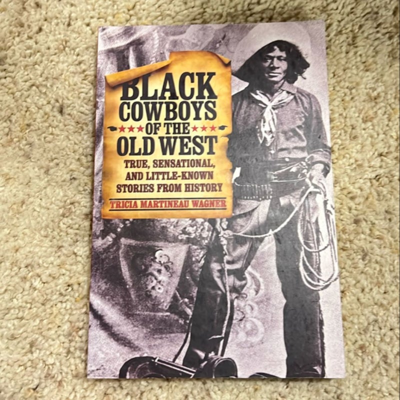 Black Cowboys of the Old West