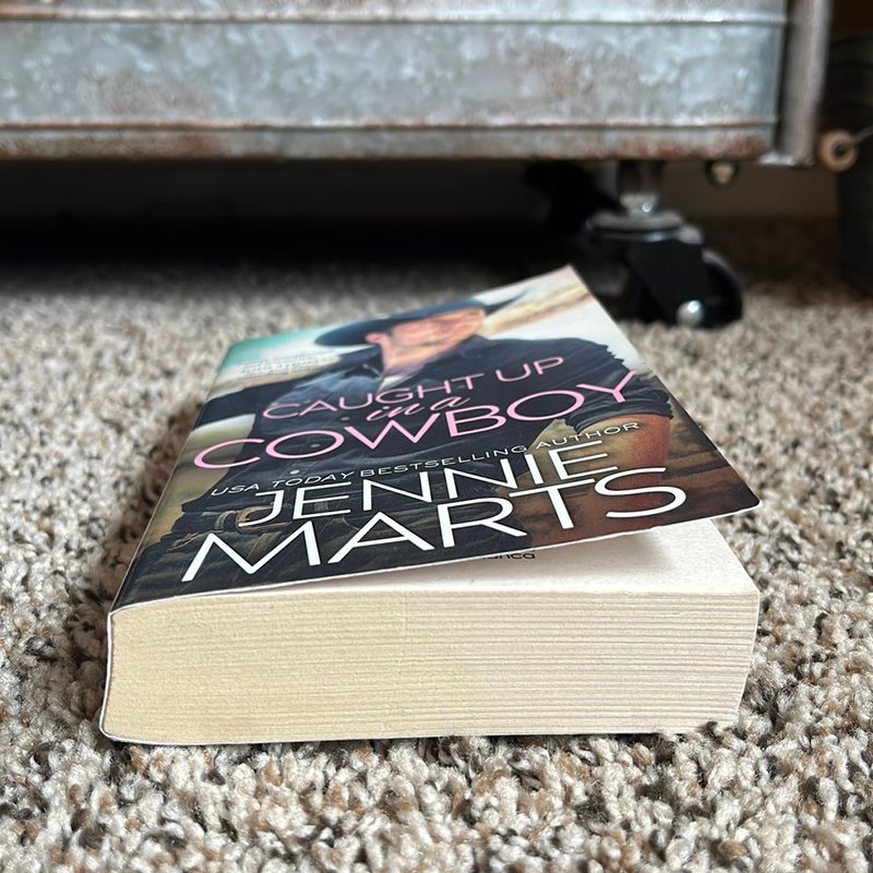 Caught up in a Cowboy