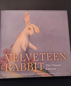 Velveteen Rabbit