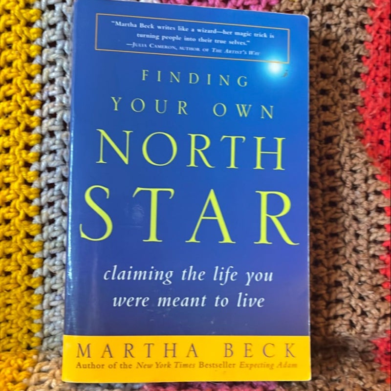 Finding Your Own North Star